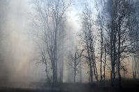 Оперативная информация о ситуации с лесными пожарами на 29 августа