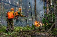 Оперативная информация о ситуации с лесными пожарами на 5 сентября.