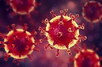 В Ишимском районе создан штаб по недопущению распространения новой коронавирусной инфекции